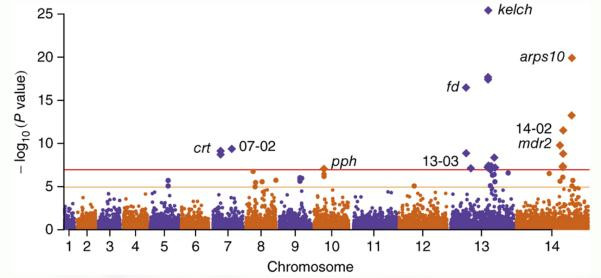 Biểu đồ về tình trạng kháng thuốc Artemisinin (Nguồn: trúc di truyền của Plasmodium falciparum kháng artemisinin, Nature Genetics 47) Biểu đồ về tình trạng kháng thuốc Artemisinin (Nguồn: trúc di truyền của Plasmodium falciparum kháng artemisinin, Nature Genetics 47)