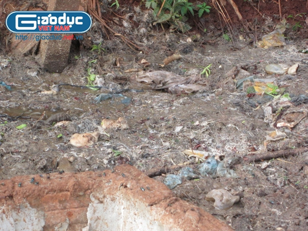 Phế phẩm được tuồn ra ngoài tự nhiên, gây ô nhiễm môi trường Phế phẩm được tuồn ra ngoài tự nhiên, gây ô nhiễm môi trường