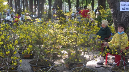 Tiểu thương với ánh mắt buồn rầu vì lượng hoa kiểng năm nay tiêu thụ rất chậm ở chợ hoa (ảnh: P.L)