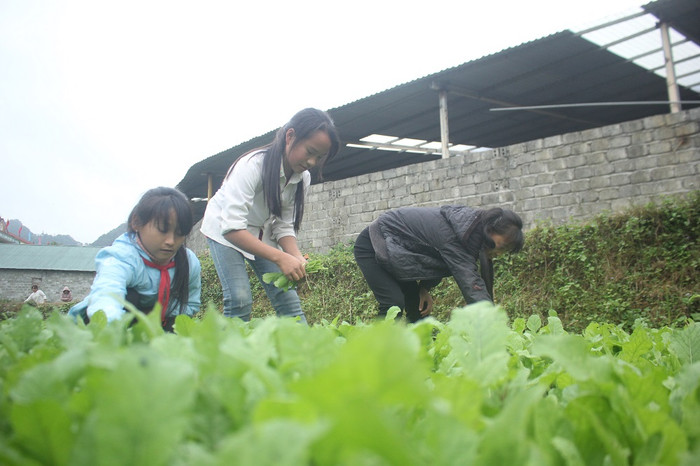 Chủ động và giám sát nguồn cung cấp thực phẩm rất cần thiết (Ảnh:V.N)