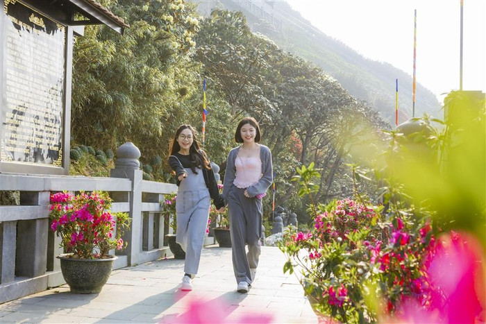 Con đường trải dài 60m, được thiết kế và xây dựng uốn theo những thế cây, đảm bảo giữ nguyên trạng khu vực có những gốc Đỗ quyên quý hiếm. Đây là nơi sở hữu nhiều cây Đỗ quyên cổ thụ đẹp bậc nhất Sa Pa và cũng là điểm ngắm hoa lý tưởng giúp du khách có thể chiêm ngưỡng và check in với những bông hoa Đỗ quyên ở cự ly gần nhất. Con đường trải dài 60m, được thiết kế và xây dựng uốn theo những thế cây, đảm bảo giữ nguyên trạng khu vực có những gốc Đỗ quyên quý hiếm. Đây là nơi sở hữu nhiều cây Đỗ quyên cổ thụ đẹp bậc nhất Sa Pa và cũng là điểm ngắm hoa lý tưởng giúp du khách có thể chiêm ngưỡng và check in với những bông hoa Đỗ quyên ở cự ly gần nhất.