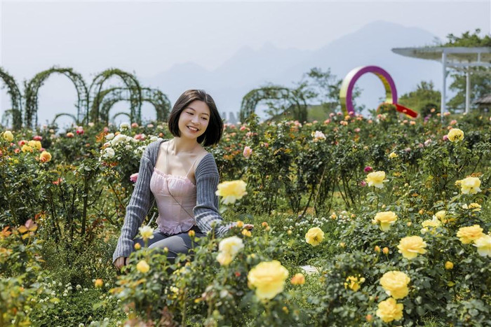 Không chỉ có hoa Đỗ quyên, đến Sun World Fansipan Legend (Sa Pa) dịp này, du khách còn được đắm chìm vào thiên đường hoa đủ loại với những vườn hoa hồng đủ màu sắc, hoa Anh đào rực rỡ hay hàng nghìn bông hoa rum trắng muốt… Không chỉ có hoa Đỗ quyên, đến Sun World Fansipan Legend (Sa Pa) dịp này, du khách còn được đắm chìm vào thiên đường hoa đủ loại với những vườn hoa hồng đủ màu sắc, hoa Anh đào rực rỡ hay hàng nghìn bông hoa rum trắng muốt…