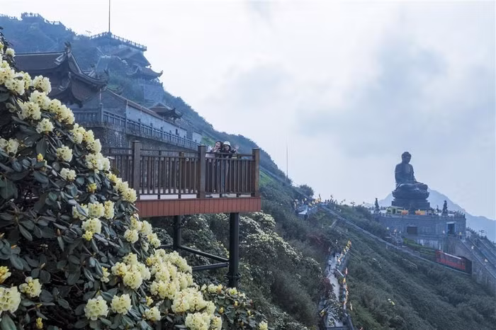 …hay chiêm ngưỡng cảnh vẻ đẹp kỳ vĩ của quần thể văn hóa tâm linh Fansipan thấp thoáng sau những đốm hoa Đỗ quyên rực rỡ và ngắm nhìn khung cảnh đất trời Tây Bắc xanh biếc với những đám mây trắng trôi lững lờ tựa như chốn bồng lai tiên cảnh.