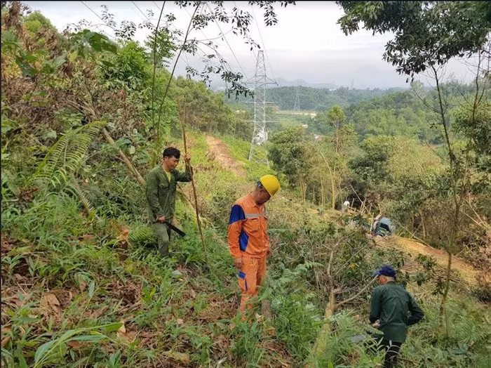 Kiểm tra đường điện và khuyến cao nhân dân thực hiện các biện pháp phòng cháy chữa cháy để không để xảy ra sự cố cháy nổ trong đốt nương, làm rẫy,... vi phạm an toàn hành lang lưới điện gây nguy cô cháy nổ tại Đội quản lý vận hành lưới điện Tuyên Quang
