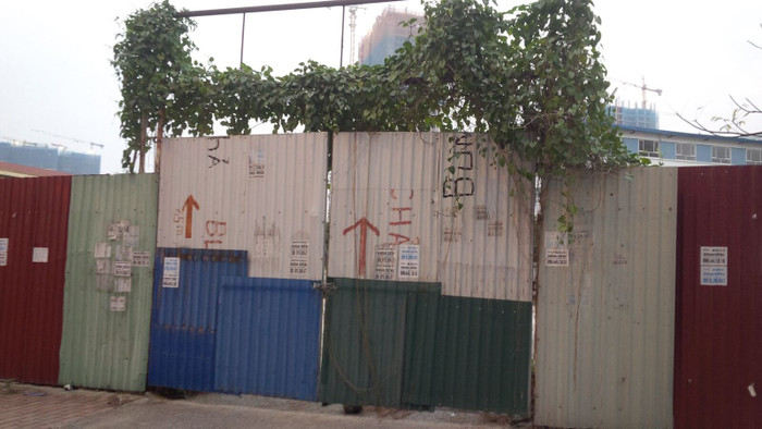 Doanh nghiệp chỉ nghĩ đến tiền sẽ gây hại cho giống nòi, làm suy yếu đất nước ảnh 2 Doanh nghiệp chỉ nghĩ đến tiền sẽ gây hại cho giống nòi, làm suy yếu đất nước ảnh 2