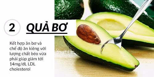 Dinh dưỡng từ quả bơ rất tốt cho sức khoẻ. Đồ họa: Minh Nguyệt.