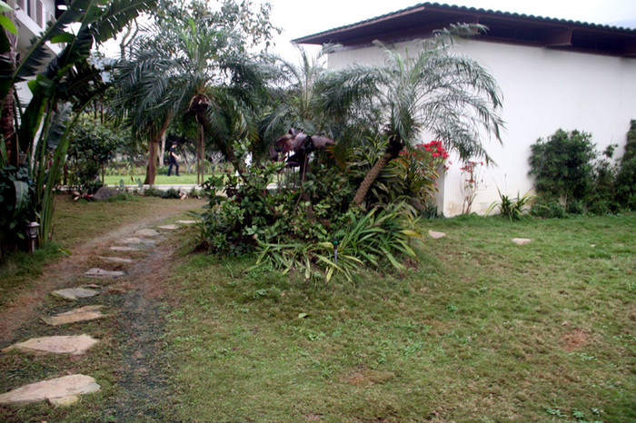 Một lối nhỏ ở đằng sau dãy nhà Xem tiếp: Buổi họp báo có một không hai tại nhà diva Mỹ Linh // Thành Chương 'đánh liều' kể chuyện '3 chìm 4 nổi' của Mỹ Linh Một lối nhỏ ở đằng sau dãy nhà Xem tiếp: Buổi họp báo có một không hai tại nhà diva Mỹ Linh // Thành Chương 'đánh liều' kể chuyện '3 chìm 4 nổi' của Mỹ Linh