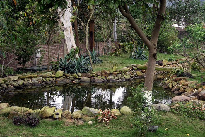 Ao cá nhân tạo nằm ở góc vườn tạo một cảm giác yên bình, dễ chịu. Xem tiếp: Buổi họp báo có một không hai tại nhà diva Mỹ Linh // Thành Chương 'đánh liều' kể chuyện '3 chìm 4 nổi' của Mỹ Linh Ao cá nhân tạo nằm ở góc vườn tạo một cảm giác yên bình, dễ chịu. Xem tiếp: Buổi họp báo có một không hai tại nhà diva Mỹ Linh // Thành Chương 'đánh liều' kể chuyện '3 chìm 4 nổi' của Mỹ Linh