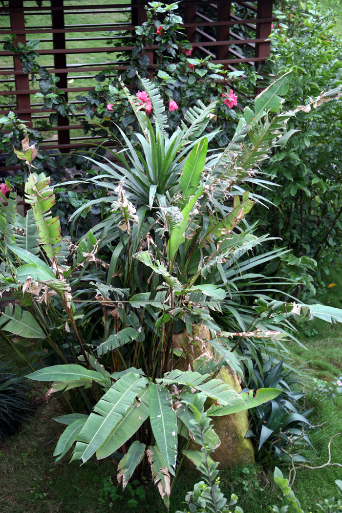 Nhà Mỹ Linh - Anh Quân ngập tràn trong mầu xanh cây cỏ, là nơi ở mơ ước của nhiều người. Xem tiếp: Buổi họp báo có một không hai tại nhà diva Mỹ Linh // Thành Chương 'đánh liều' kể chuyện '3 chìm 4 nổi' của Mỹ Linh Nhà Mỹ Linh - Anh Quân ngập tràn trong mầu xanh cây cỏ, là nơi ở mơ ước của nhiều người. Xem tiếp: Buổi họp báo có một không hai tại nhà diva Mỹ Linh // Thành Chương 'đánh liều' kể chuyện '3 chìm 4 nổi' của Mỹ Linh