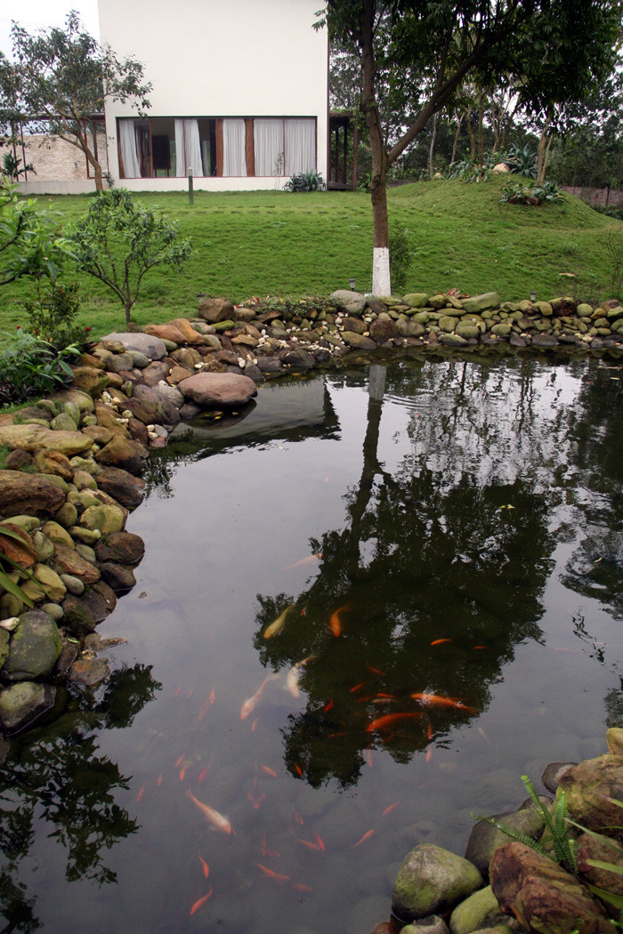 Một ao cá nhân tạo nuôi cá cảnh khá đẹp mắt phía trước nhà Mỹ Linh. Xem tiếp: Buổi họp báo có một không hai tại nhà diva Mỹ Linh // Thành Chương 'đánh liều' kể chuyện '3 chìm 4 nổi' của Mỹ Linh Một ao cá nhân tạo nuôi cá cảnh khá đẹp mắt phía trước nhà Mỹ Linh. Xem tiếp: Buổi họp báo có một không hai tại nhà diva Mỹ Linh // Thành Chương 'đánh liều' kể chuyện '3 chìm 4 nổi' của Mỹ Linh