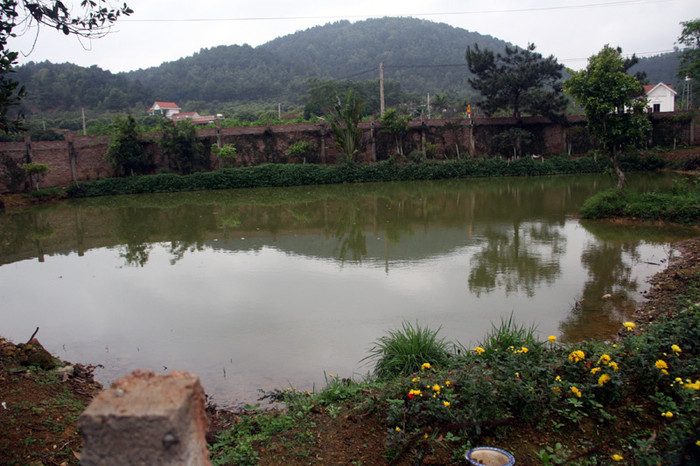 Còn đây là một ao cá khác lớn hơn, trên bờ có trồng khá nhiều hoa. Xem tiếp: Buổi họp báo có một không hai tại nhà diva Mỹ Linh // Thành Chương 'đánh liều' kể chuyện '3 chìm 4 nổi' của Mỹ Linh Còn đây là một ao cá khác lớn hơn, trên bờ có trồng khá nhiều hoa. Xem tiếp: Buổi họp báo có một không hai tại nhà diva Mỹ Linh // Thành Chương 'đánh liều' kể chuyện '3 chìm 4 nổi' của Mỹ Linh