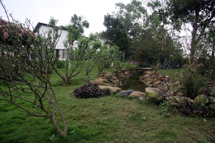 Một góc khu vườn nhà Mỹ Linh. Ao cá nhân tạo để nuôi cá cảnh khá rộng và được bao bằng đá trông rất đẹp. Xem tiếp: Ngỡ ngàng ngắm vườn cây, ao cá, chuồng gà nhà ca sỹ Mỹ Linh // Thành Chương 'đánh liều' kể chuyện '3 chìm 4 nổi' của Mỹ Linh