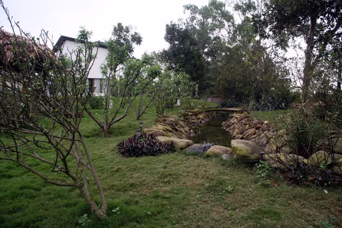 Một góc khu vườn nhà Mỹ Linh. Ao cá nhân tạo để nuôi cá cảnh khá rộng và được bao bằng đá trông rất đẹp. Xem tiếp: Ngỡ ngàng ngắm vườn cây, ao cá, chuồng gà nhà ca sỹ Mỹ Linh // Thành Chương 'đánh liều' kể chuyện '3 chìm 4 nổi' của Mỹ Linh