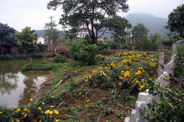 Bao quanh nhà Mỹ Linh có rất nhiều các loại cây cối, ao cá và hoa. Xem tiếp: Ngỡ ngàng ngắm vườn cây, ao cá, chuồng gà nhà ca sỹ Mỹ Linh // Thành Chương 'đánh liều' kể chuyện '3 chìm 4 nổi' của Mỹ Linh