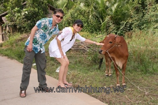 Mr Đàm vui vẻ chụp ảnh với bò.