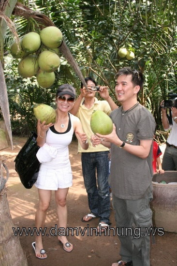 Đàm vĩnh Hưng tự tay hái một trái dừa.