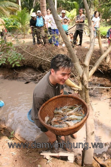 Thành quả mà Mr Đàm đạt được.