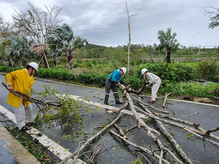 Cán bộ công nhân viên Công ty tiến hành thu gom, dọn dẹp sau bão số 9.