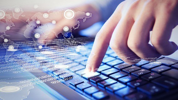 Những con sâu trong vườn hoa Xuân ảnh 1 Những con sâu trong vườn hoa Xuân ảnh 1