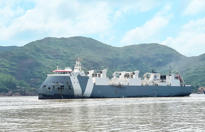 Tàu chở 3300 cô bò sữa thuần chủng từ Mỹ cập cảng Quy Nhơn Tàu chở 3300 cô bò sữa thuần chủng từ Mỹ cập cảng Quy Nhơn