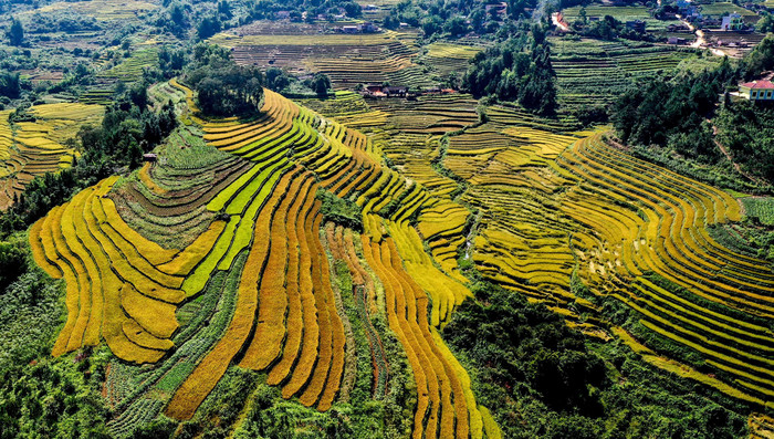 Bình Liêu Bình Liêu