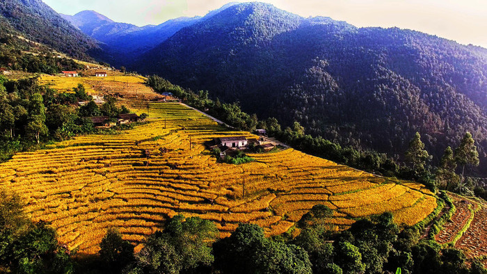 Bình Liêu Bình Liêu