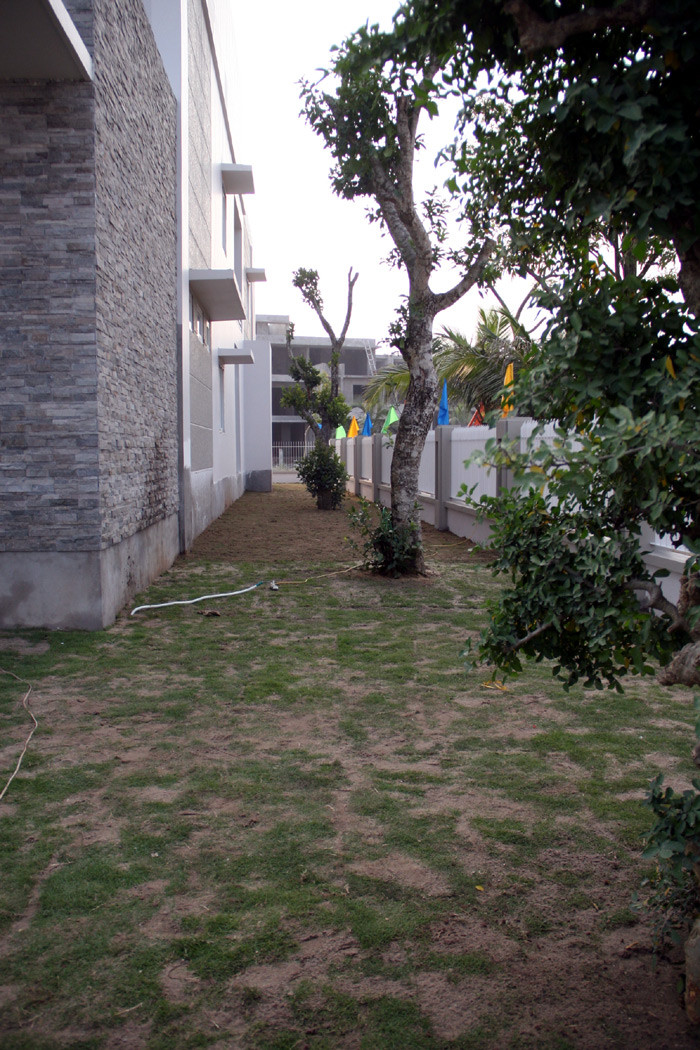 Cây trồng trong khuôn viên biệt thự.