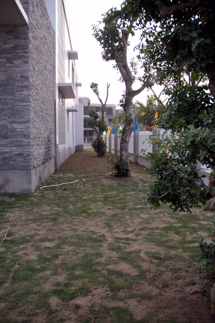 Cây trồng trong khuôn viên biệt thự.