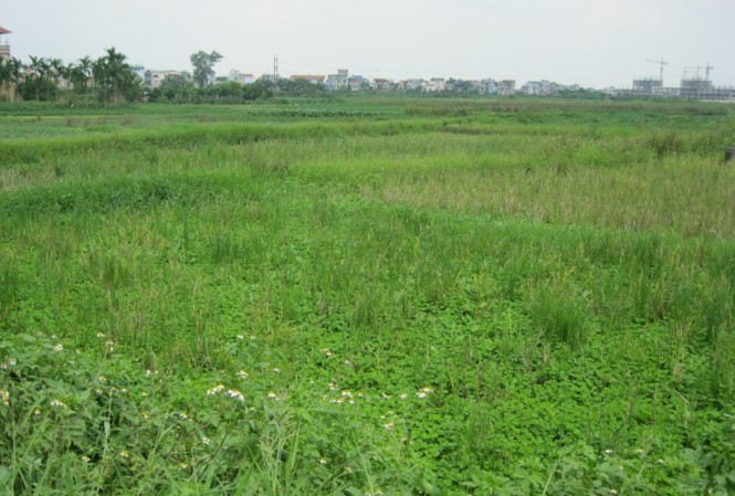 FLC trúng đấu giá lô đất ĐM1 tại phường Đại Mỗ (ảnh minh hoạ) 860 tỷ đồng, sau hơn 3 tháng mới nộp được 98 tỷ đồng, nhưng vẫn chưa bị hủy kết quả trúng đấu giá. FLC trúng đấu giá lô đất ĐM1 tại phường Đại Mỗ (ảnh minh hoạ) 860 tỷ đồng, sau hơn 3 tháng mới nộp được 98 tỷ đồng, nhưng vẫn chưa bị hủy kết quả trúng đấu giá.