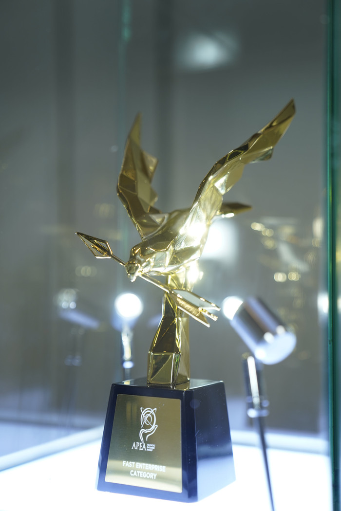 Giải thưởng "Doanh nghiệp tăng trưởng nhanh" là sự ghi nhận những nỗ lực phát triển không ngừng của BSL