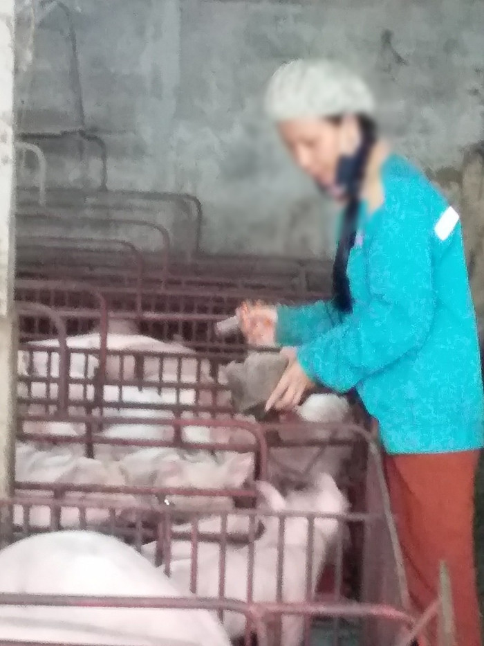Giáo viên thỉnh giảng cũng nên được xếp vào nhóm đối tượng cần được Nhà nước hỗ trợ trong đợt dịch Covid-19 (Ảnh:V.N) Giáo viên thỉnh giảng cũng nên được xếp vào nhóm đối tượng cần được Nhà nước hỗ trợ trong đợt dịch Covid-19 (Ảnh:V.N)