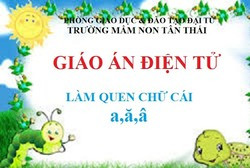 Giáo án của người thầy có quan trọng hay không? ảnh 3 Giáo án của người thầy có quan trọng hay không? ảnh 3