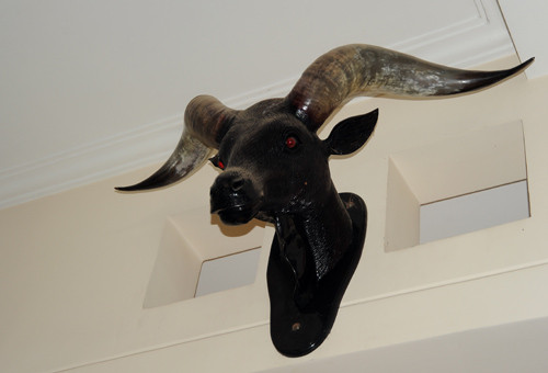 Trên tường nhà Minh Béo treo một đầu bò rất ấn tượng. Trên tường nhà Minh Béo treo một đầu bò rất ấn tượng.