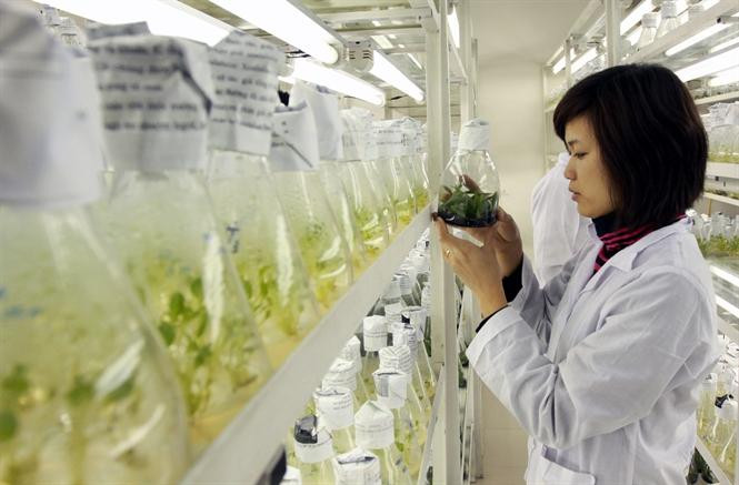 Nhiều phụ huynh, học sinh vẫn còn e dè trước lựa chọn ngành Nông nghiệp. (Ảnh: Nhà trường cung cấp) Nhiều phụ huynh, học sinh vẫn còn e dè trước lựa chọn ngành Nông nghiệp. (Ảnh: Nhà trường cung cấp)