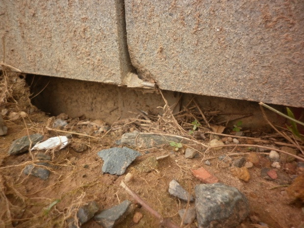 Nguyên nhân ban đầu được xác định do những ngày qua có mưa nhiều, một số nơi ở bảo tàng bị ngập lâu trong nước? Nguyên nhân ban đầu được xác định do những ngày qua có mưa nhiều, một số nơi ở bảo tàng bị ngập lâu trong nước?