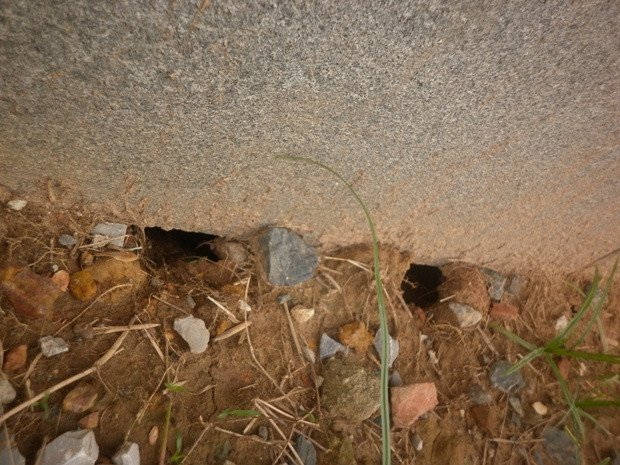 Được biết hiện tại công trình vẫn đang trong thời gian bảo hành. Để khắc phục, Ban quản lí đã chỉ đạo cho đơn vị thi công bồi hoàn cát vào vị trí sụt lún Được biết hiện tại công trình vẫn đang trong thời gian bảo hành. Để khắc phục, Ban quản lí đã chỉ đạo cho đơn vị thi công bồi hoàn cát vào vị trí sụt lún