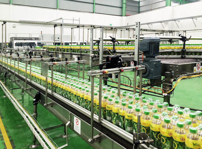 Trà Xanh Không Độ sản xuất trên dây chuyền công nghệ hiện đại, giúp giữ lại tối đa hàm lượng EGCG.