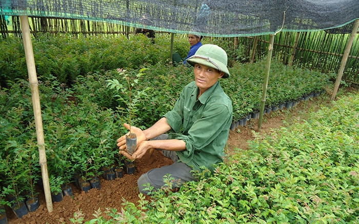 Ảnh minh hoạ: Đỗ Hương/Báo Chính phủ Ảnh minh hoạ: Đỗ Hương/Báo Chính phủ