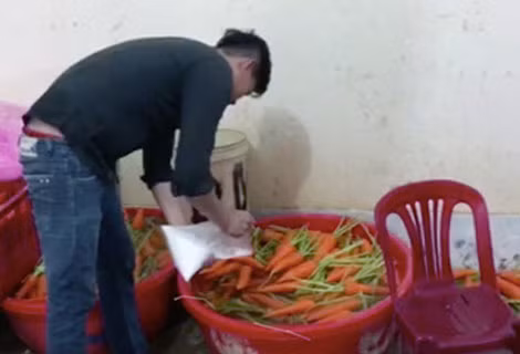 Nhân viên của Sáng đang tiến hành tẩy trắng cà rốt.