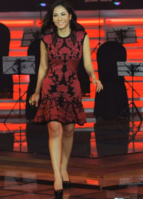 Trong khi đó, Thu Minh lại nhận được rất nhiều lời khen tặng với bộ đầm hàng hiệu mang họa tiết hoa văn phục hưng