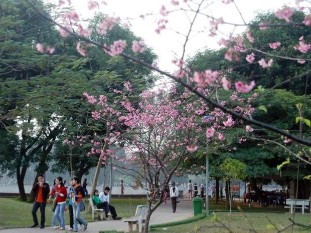 Địa điểm hò hẹn yêu thích nhất là... công viên Lý do: Không gian thoáng đãng, lại không tốn tiền vé vào cửa. Chỉ cần tìm nơi toạ lạc lý tưởng là tha hồ... trút bầu tâm sự.