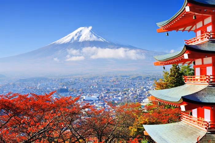 Cơ hội du lịch và được hoàn tiền cực lớn trong mùa thu này.