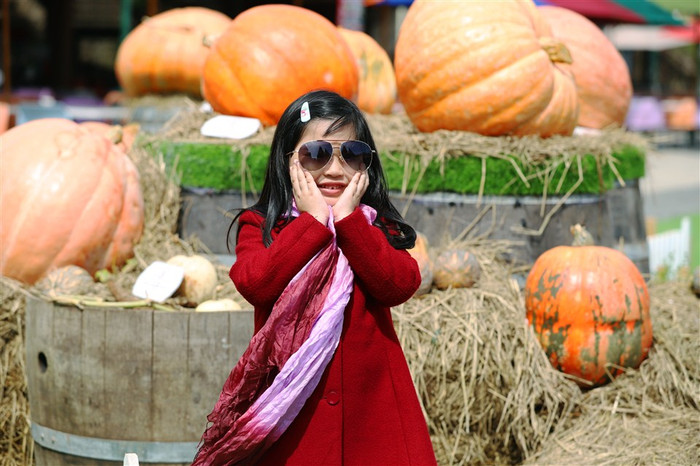 Em Tú Anh, 7 tuổi, Việt kiều Canada tấm tắc: “Cháu đã dự nhiều lễ hội Halloween nhưng cũng không vui được như thế này. Không ở đâu có những lâu đài và các nhân vật dễ thương, cũng không đâu có nhiều bí đỏ như vậy”. Em Tú Anh, 7 tuổi, Việt kiều Canada tấm tắc: “Cháu đã dự nhiều lễ hội Halloween nhưng cũng không vui được như thế này. Không ở đâu có những lâu đài và các nhân vật dễ thương, cũng không đâu có nhiều bí đỏ như vậy”.