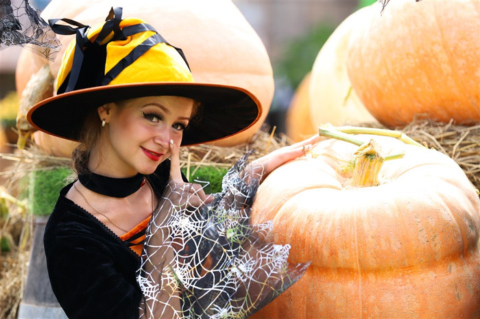 Có thể nói, “chất” Halloween không nơi đâu đậm đặc như tại Sun World Ba Na Hills, với bí ngô đủ hình dạng, kích cỡ to nhỏ xuất hiện ở mọi nơi. Đại diện Ban Quản lý Khu du lịch cho hay, có tới cả vạn trái bí phục vụ riêng lễ hội. Có thể nói, “chất” Halloween không nơi đâu đậm đặc như tại Sun World Ba Na Hills, với bí ngô đủ hình dạng, kích cỡ to nhỏ xuất hiện ở mọi nơi. Đại diện Ban Quản lý Khu du lịch cho hay, có tới cả vạn trái bí phục vụ riêng lễ hội.