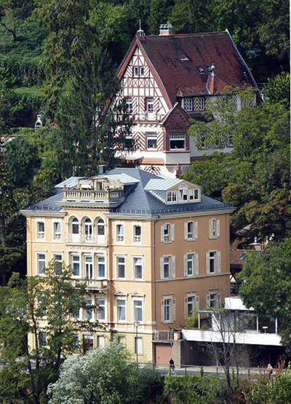Trường tư nội trú Gymnasium Heidelberg Trường tư nội trú Gymnasium Heidelberg