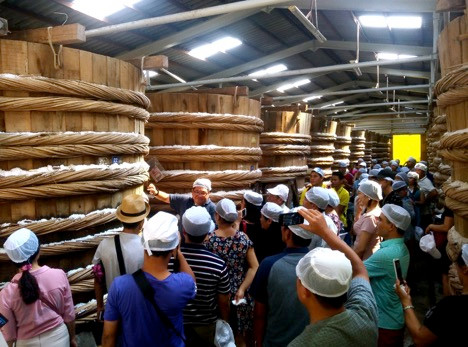 Người Nam Ô buồn, đàn cá cơm than cũng muốn rơi nước mắt ảnh 4 Người Nam Ô buồn, đàn cá cơm than cũng muốn rơi nước mắt ảnh 4