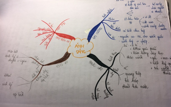 Thảo thường sử dụng các sơ đồ và hình ảnh hoá các nội dung để học bài. (Ảnh: Vương Thuỷ) Thảo thường sử dụng các sơ đồ và hình ảnh hoá các nội dung để học bài. (Ảnh: Vương Thuỷ)