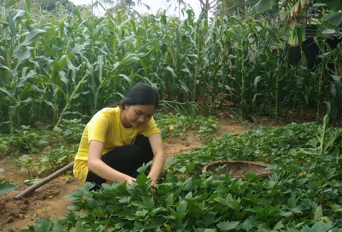 Cảm động cậu học trò 8 năm được bạn cõng tới trường với ước mơ đỗ đại học ảnh 4