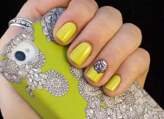 Những sắc màu nổi bật với vẻ đẹp khó cưỡng