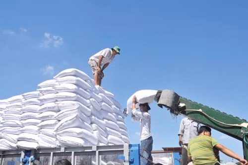 Sau Vinamilk, nhiều doanh nghiệp phản đối truy thu thuế bất ngờ của hải quan ảnh 1